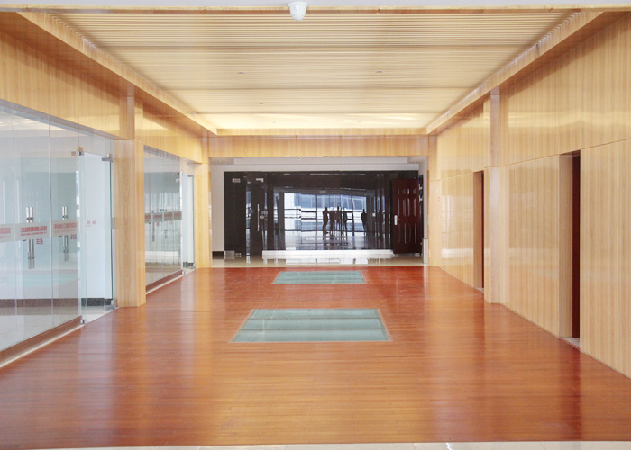 公司展示